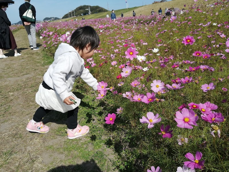 遠賀川漕艇場合宿所艇庫