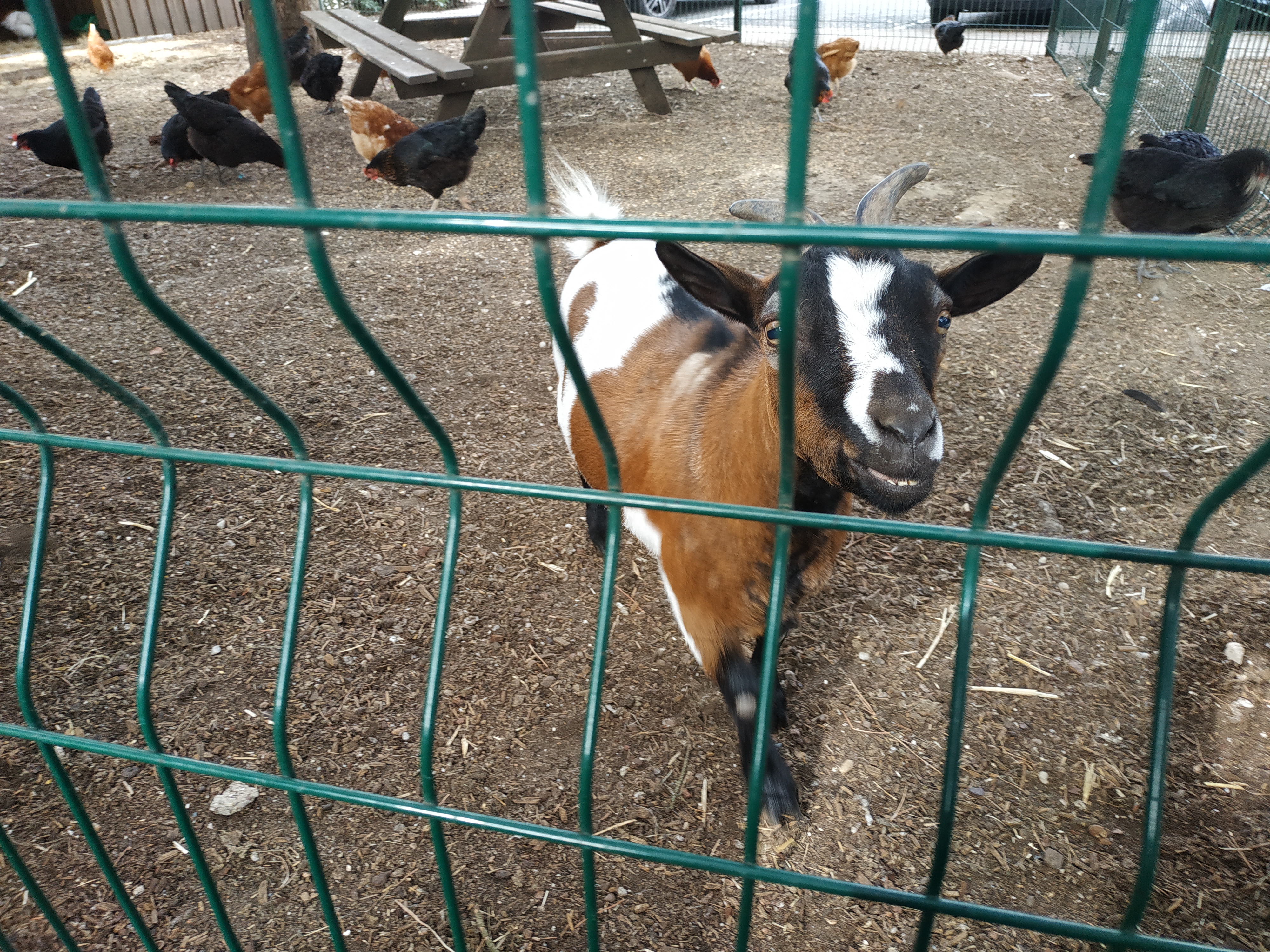 Photo n° 2 de l'avis de Jessy.e fait le 25/08/2018 à 16:56