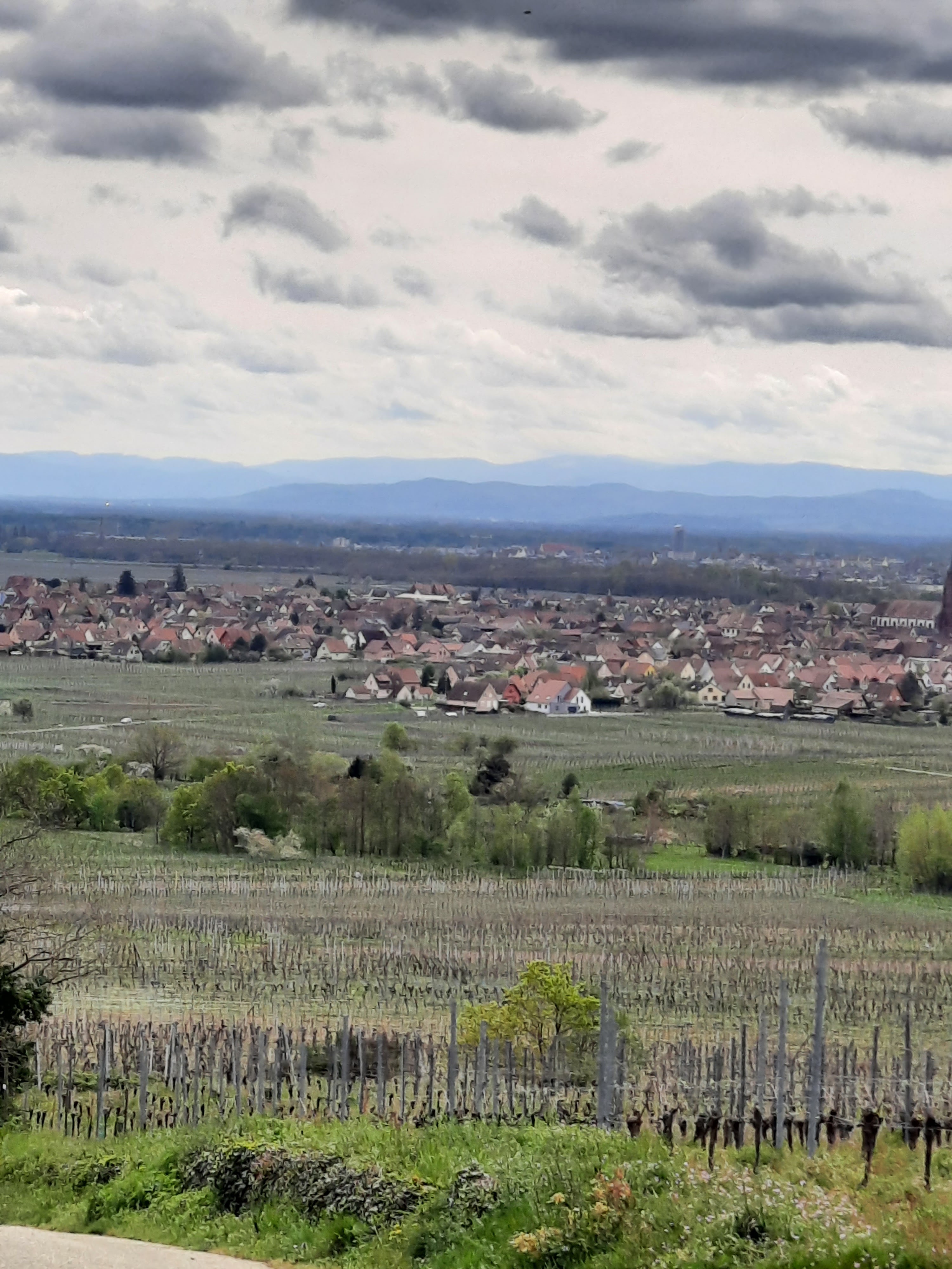 Photo n° 3 de l'avis de Veronique.i fait le 25/04/2023 à 15:05
