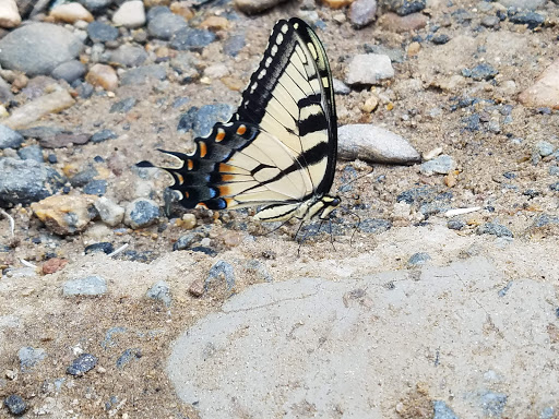 Water Park «Helen Tubing & Helen Water Park», reviews and photos, 222 Edelweiss Strasse, Helen, GA 30545, USA