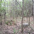 Saint Luke Cemetery