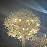 Photo n°1 de l'avis de Anna.i fait le 10/03/2024 à 16:37 sur le  EUPHORIA powered by PizzAmore à Villorba