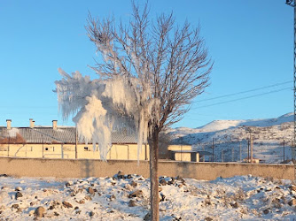 Saray Halı Fabrika