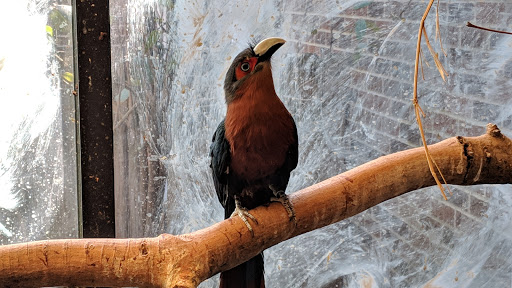 Zoo «Mesker Park Zoo», reviews and photos, 1545 Mesker Park Dr, Evansville, IN 47720, USA