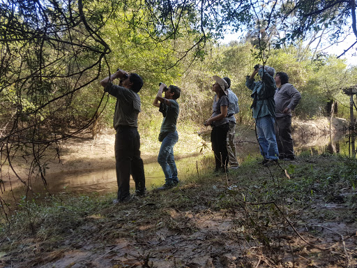 Paraguay Birding & Nature Tours