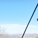 Photo n°15 de l'avis de Annamaria.h fait le 08/03/2020 à 16:44 sur le  Trattoria dell'Amicizia à Roddino