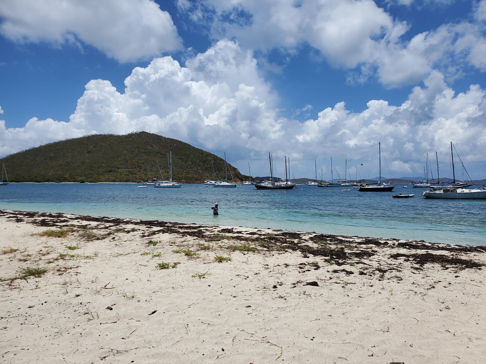 Foto de Vessup beach com relativamente limpo nível de limpeza