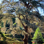 Photo n° 9 de l'avis de Sonia.o fait le 16/08/2022 à 16:49 pour Jardin des Plantes de Coutances à Coutances