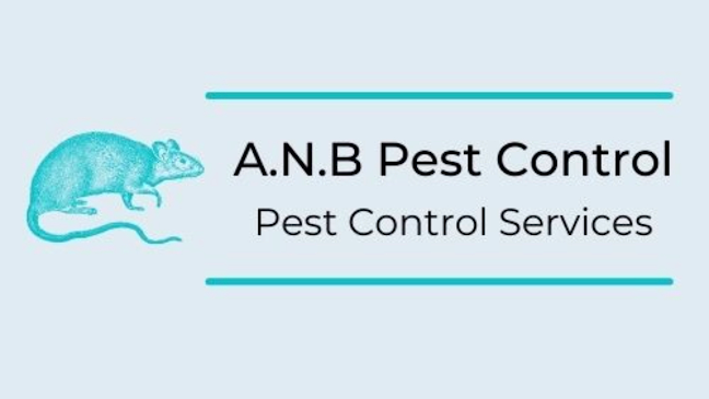 Comments and reviews of A.N.B Pest Control