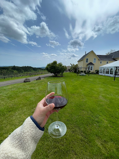 Winery «David Hill Vineyards & Winery», reviews and photos, 46350 NW David Hill Rd, Forest Grove, OR 97116, USA