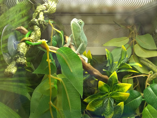 Pet Supply Store «PetSmart», reviews and photos, 2500 Posner Blvd, Davenport, FL 33837, USA