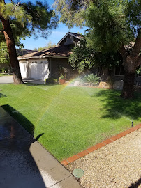 Team SAG LAWN SERVICE