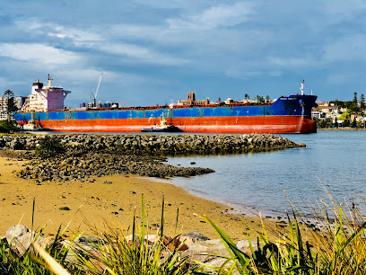 Newcastle Harbour