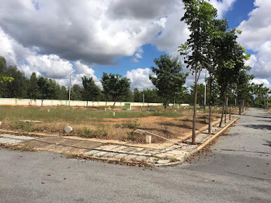 Google Maps image 31