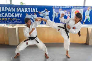 Indo Japan Martial Arts Academy HQ image
