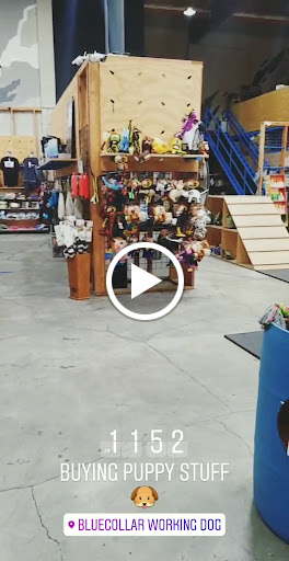 Pet Supply Store «BlueCollar Working Dog», reviews and photos, 1320 Glendale Blvd, Los Angeles, CA 90026, USA