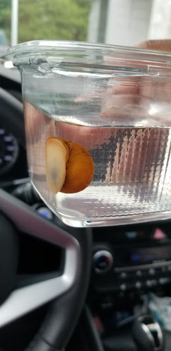 Pet Supply Store «Concord Pet Foods & Supplies», reviews and photos, 1720 Faulkland Rd, Wilmington, DE 19805, USA