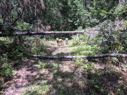 Nature Preserve «Triple Creek Nature Preserve», reviews and photos, 13112 Balm Boyette Rd, Riverview, FL 33579, USA