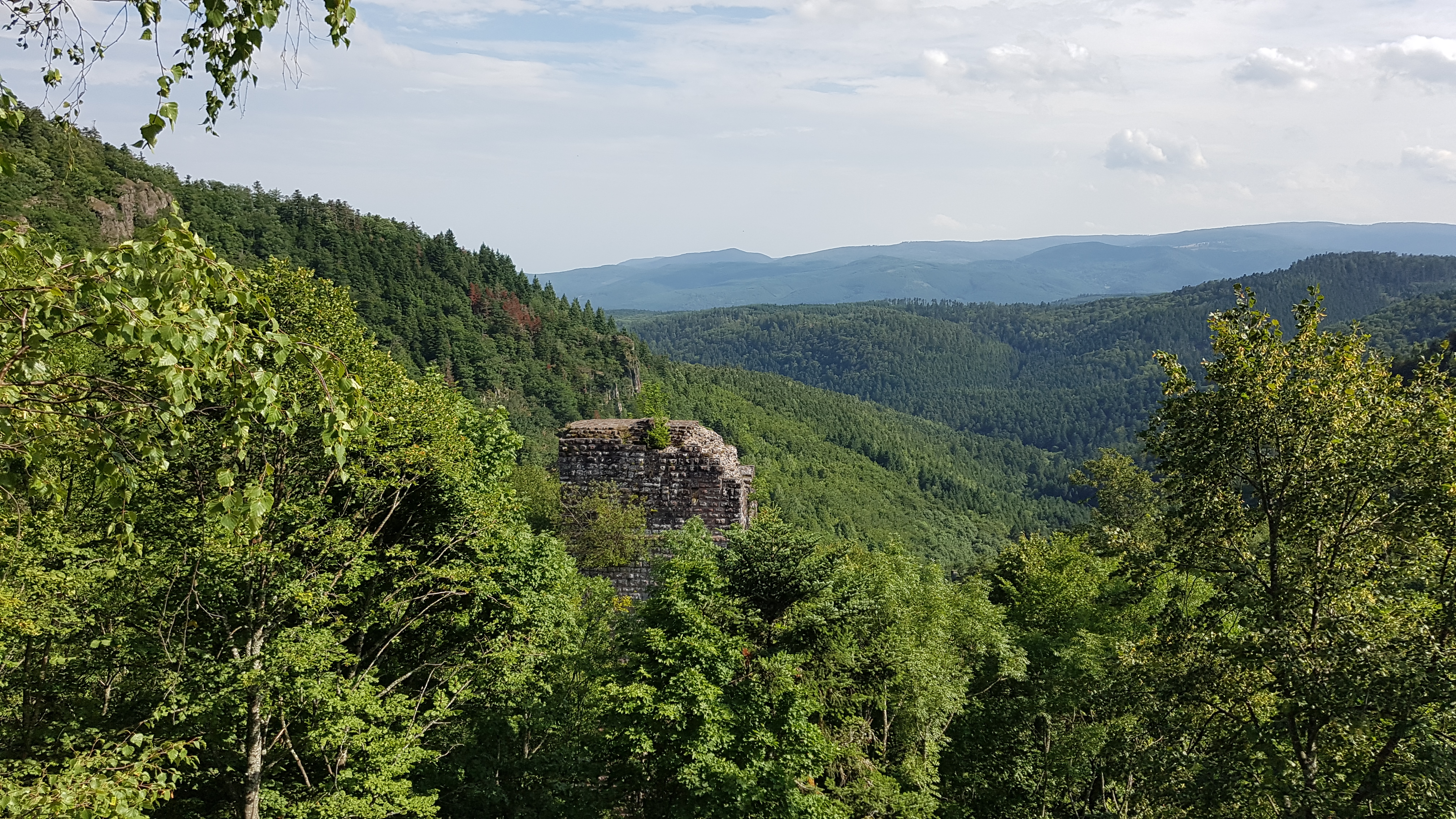 Photo n° 2 de l'avis de Ryo.a fait le 04/08/2017 à 18:40
