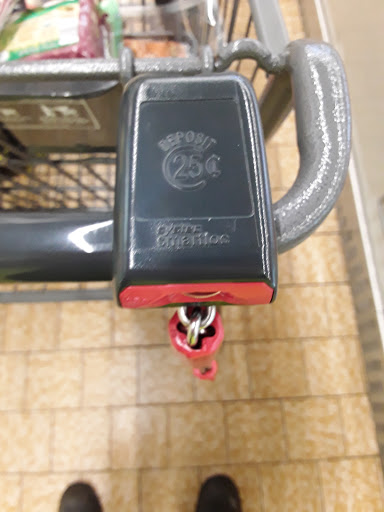 Supermarket «ALDI», reviews and photos, 4833 Oakton St, Skokie, IL 60077, USA