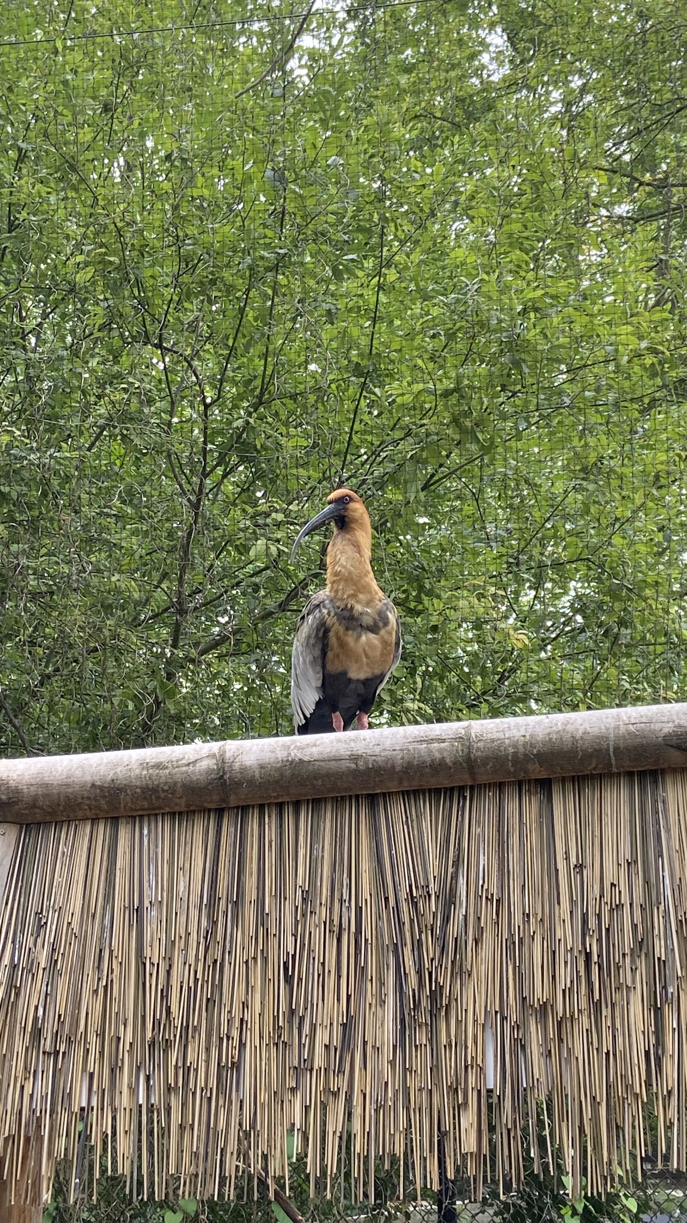 Photo n° 9 de l'avis de Sandy. fait le 26/07/2022 à 07:35