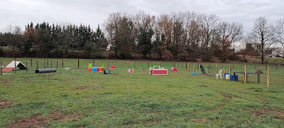 CaniFun à Terssac