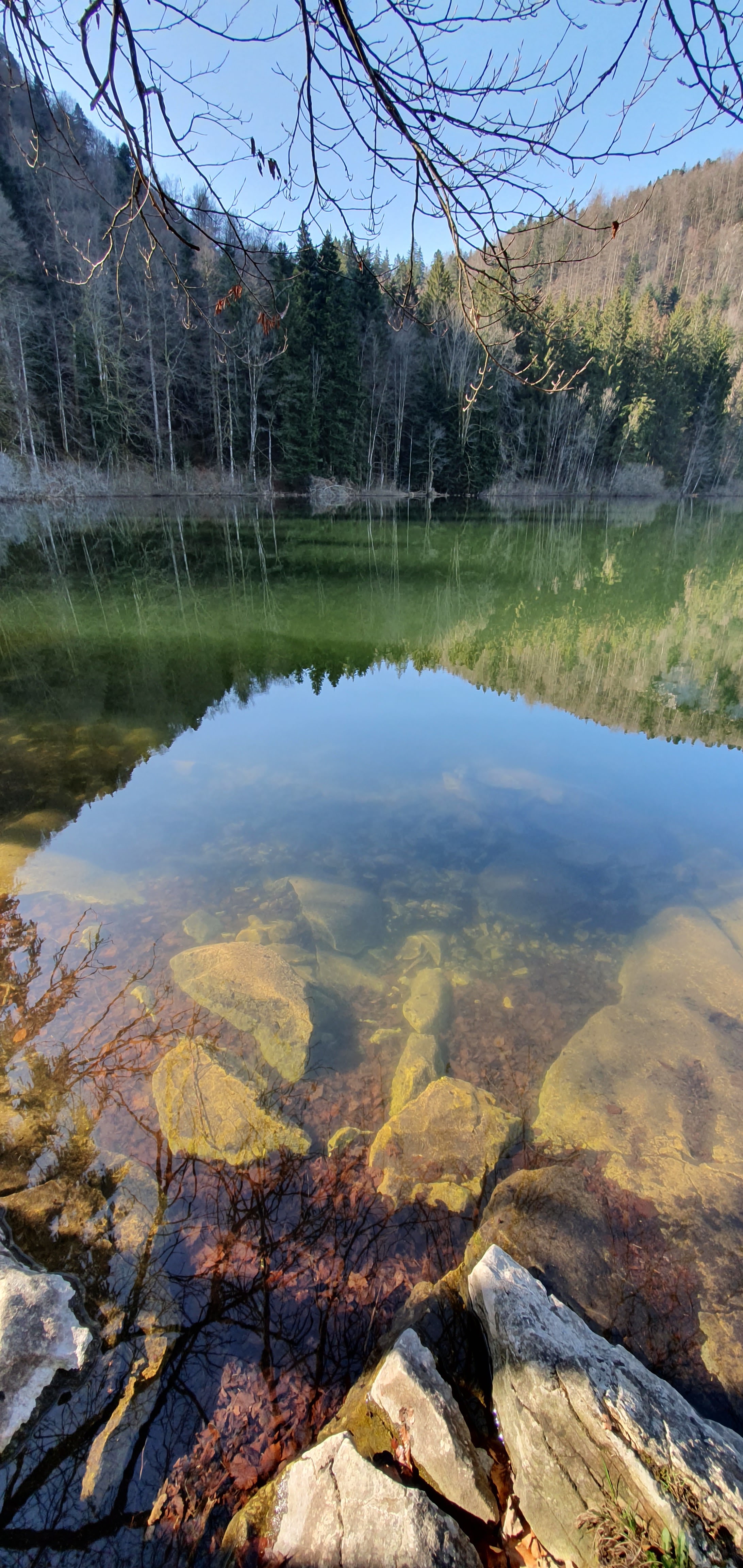 Photo n° 1 de l'avis de Fred.O fait le 31/03/2019 à 15:00