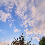 Photo n°2 de l'avis de mobile.w fait le 05/10/2021 à 07:57 sur le  Hof Kindervatter à Witzenhausen