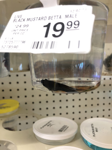 Pet Supply Store «PetSmart», reviews and photos, 291 Skokie Blvd, Northbrook, IL 60062, USA