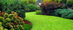 Chop Chop Landscaping - Photo 1 - Car repair in Redding, CA, Redding