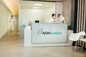 ADN Institut image