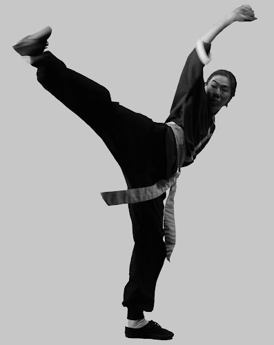 Lishi Taoist Tai Chi and Kung Fu / Wu Shu Open Times