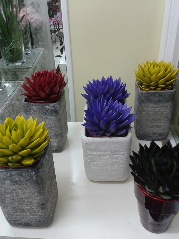 Imagen de FLORISTERIA CENGOTITA (3 de 6)