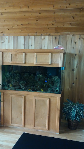 Pet Store «Something Fishy Pets», reviews and photos, 29 Towne Centre Ln, Fox Lake, IL 60020, USA