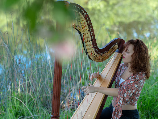 Harp Soup - Harpist Natalie Wagner