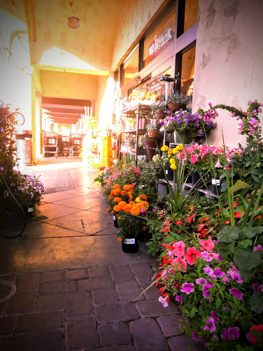 Grocery Store «Vons», reviews and photos, 3233 Foothill Blvd, La Crescenta, CA 91214, USA