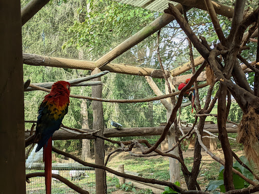 Park «Lake Tobias Wildlife Park», reviews and photos, 760 Tobias Road, Halifax, PA 17032, USA