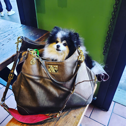 Grocery Store «Whole Foods Market», reviews and photos, 1050 Gayley Ave, Los Angeles, CA 90024, USA