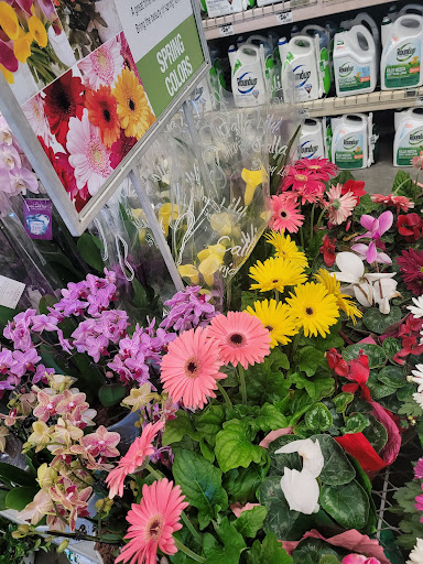 Home Improvement Store «The Home Depot», reviews and photos, 95 Highland Ave, Seekonk, MA 02771, USA