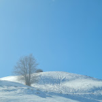 Photo n°2 de l'avis de Anna.R fait le 26/02/2023 à 07:00 sur le  Lo Sciatore à San Massimo