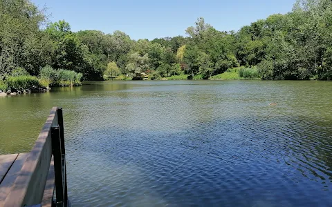 Lake Filmteich image