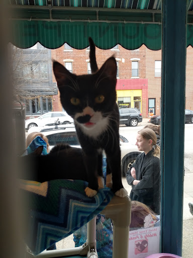 Pet Store «Fairmount Pet Shoppe», reviews and photos, 2024 Fairmount Ave, Philadelphia, PA 19130, USA