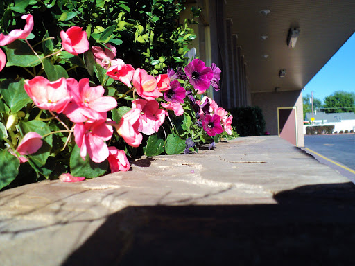 Funeral Home «Jenkins-Soffe Funeral Homes & Cremation Center», reviews and photos, 4760 State St, Murray, UT 84107, USA