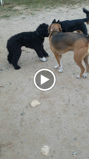 Park «West Hills County Park», reviews and photos, Sweet Hollow Rd, Melville, NY 11747, USA