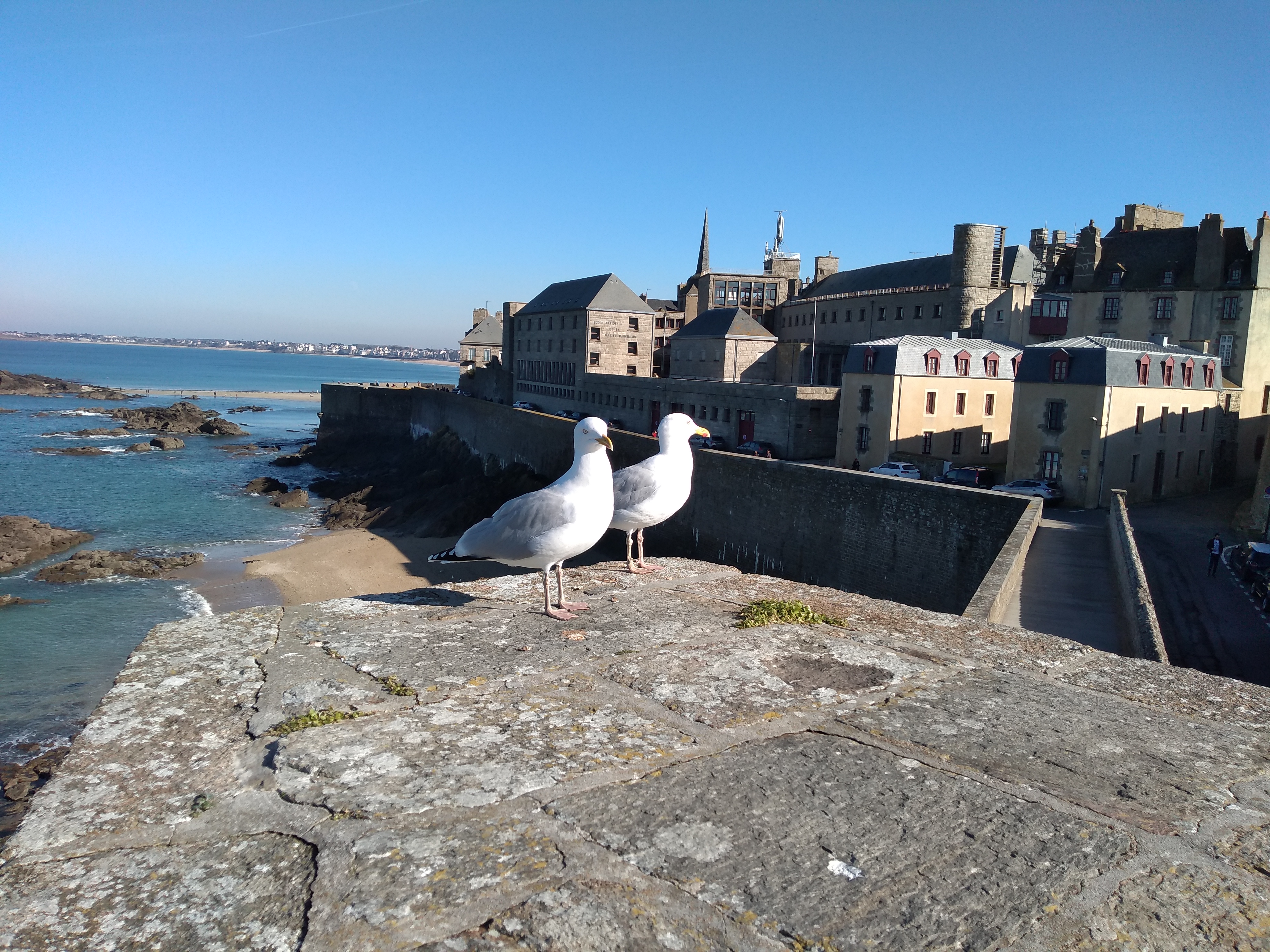 Photo n° 2 de l'avis de Philippe.H fait le 20/02/2019 à 16:10