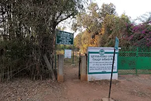 Gottipura Research Forest image