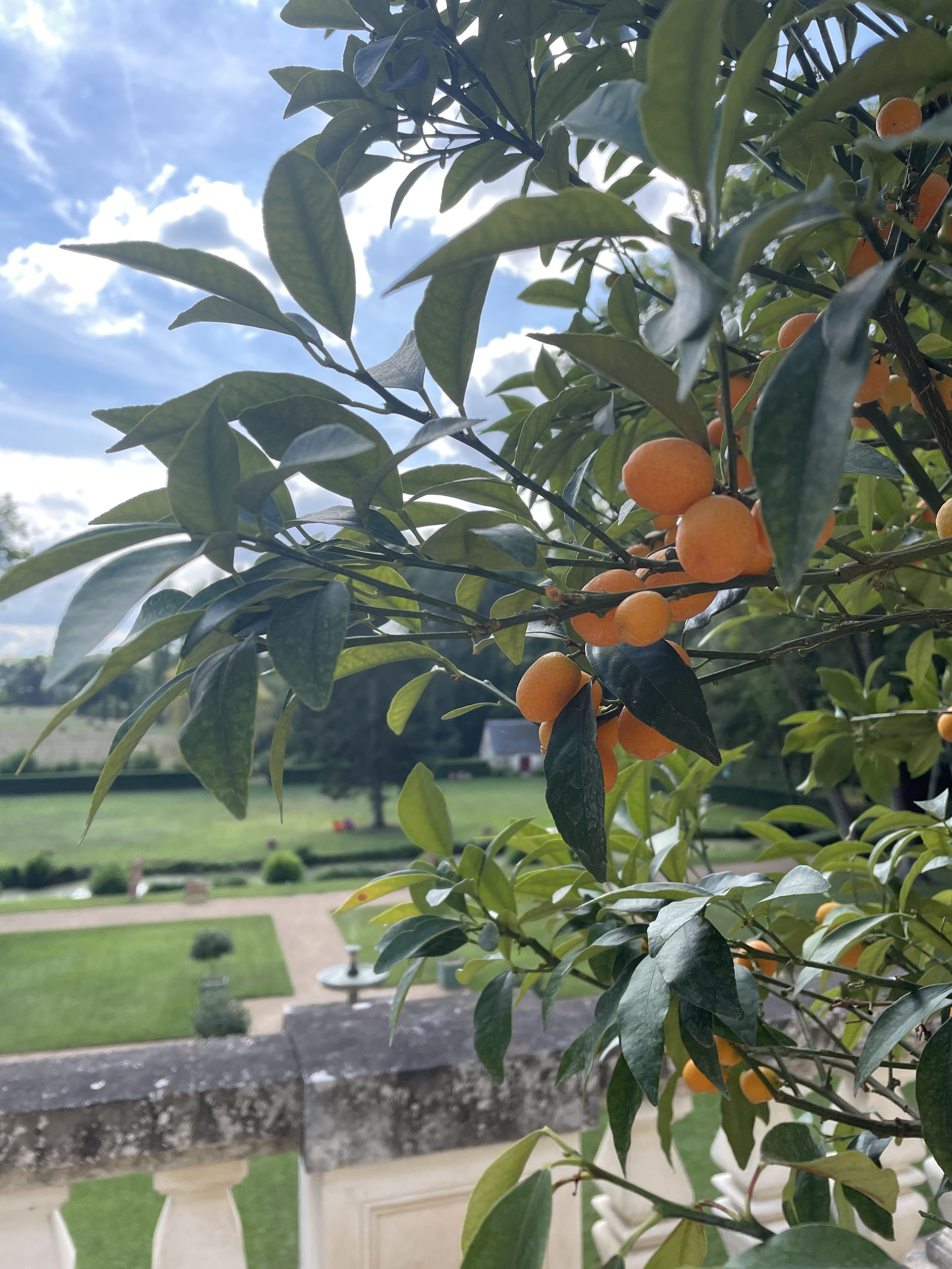 Photo n° 5 de l'avis de Ève.. fait le 27/08/2022 à 13:08