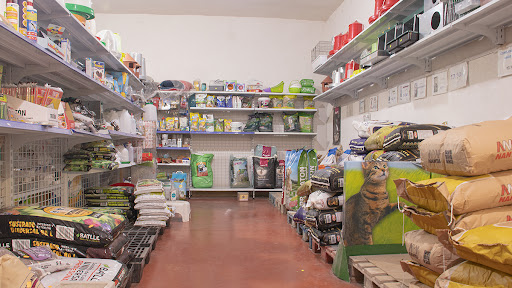 Avichuchos en Colmenar de Oreja, Madrid