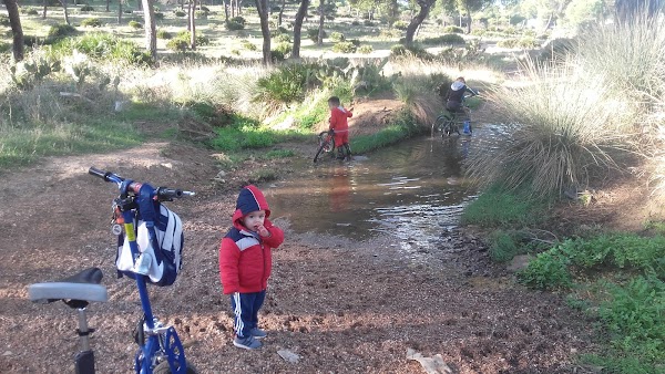 Centro de jardineria Anabel