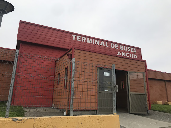 Opiniones de Terminal Municipal Ancud en Ancud - Servicio de transporte